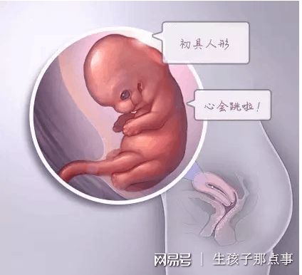 本院简介